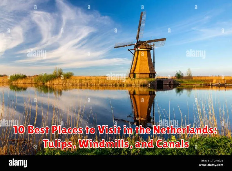 10 Best Places to Visit in the Netherlands: Tulips, Windmills, and Canals